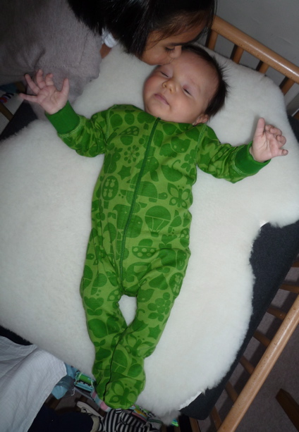17 Dec  green felix 4.jpg